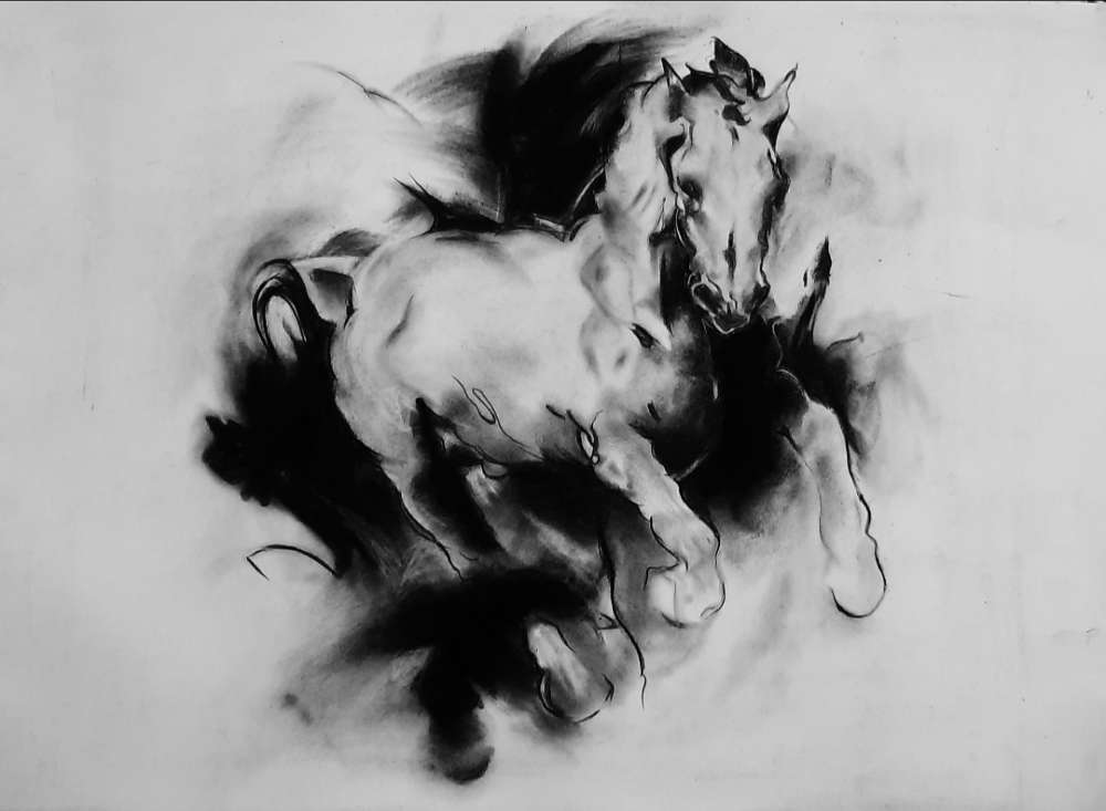 Horse Charcoal Painting