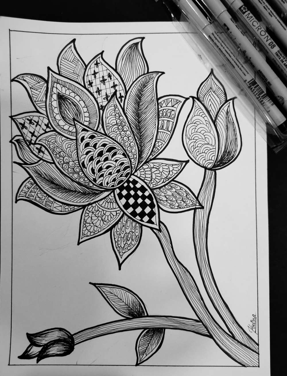 Lotus doodle art