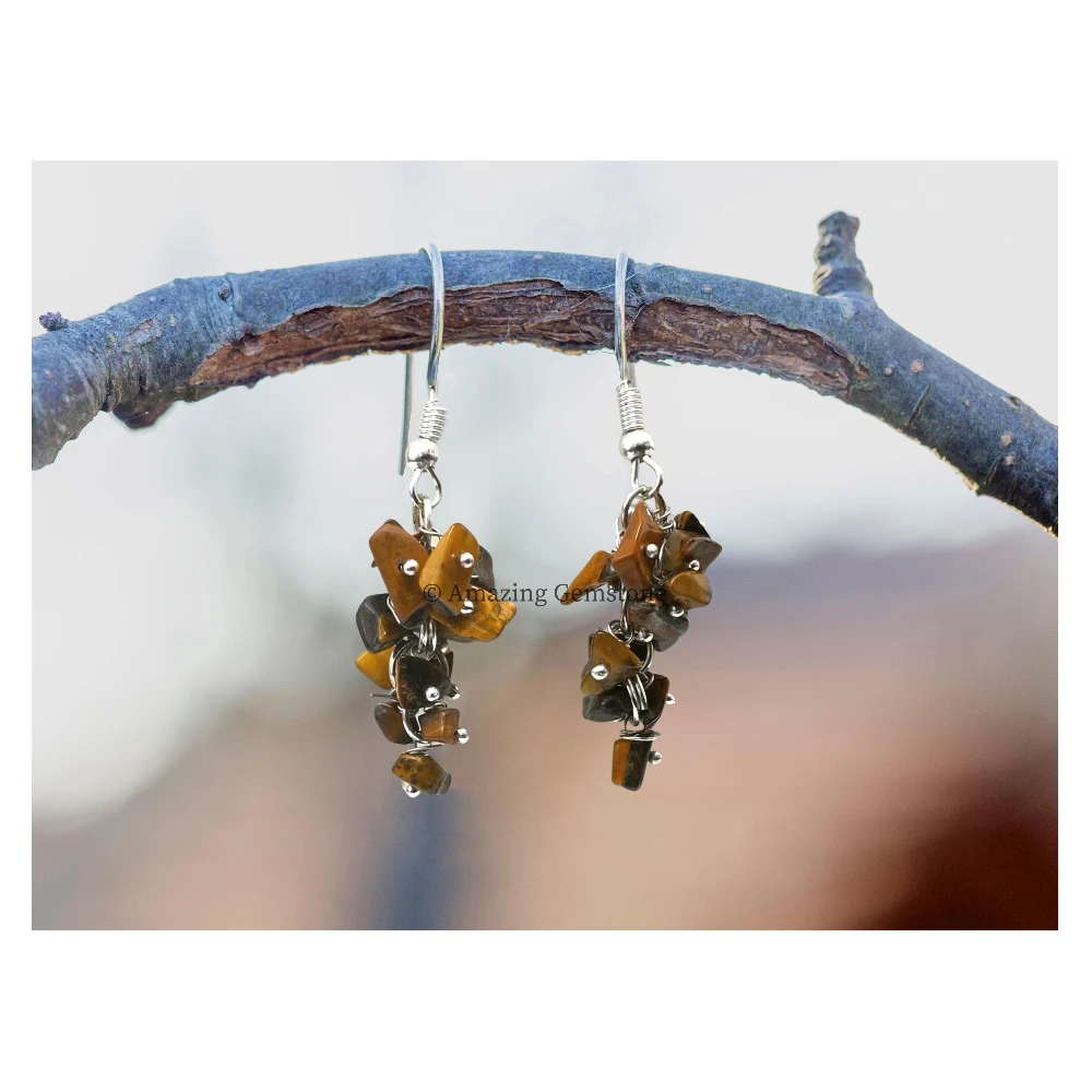 Tiger Eye Crystal Earrings (Silver)