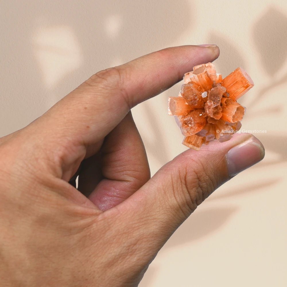 Aragonite Cluster Raw Crystals (2 Pieces)