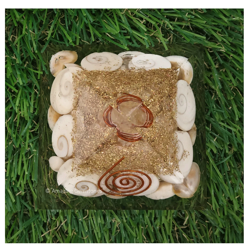 Gomti Chakra Orgone Pyramid