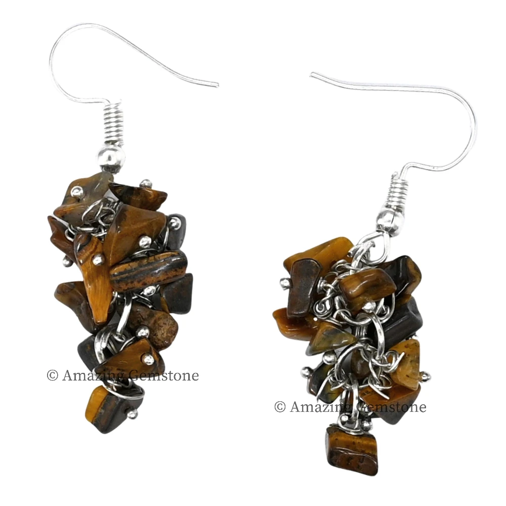Tiger Eye Crystal Earrings