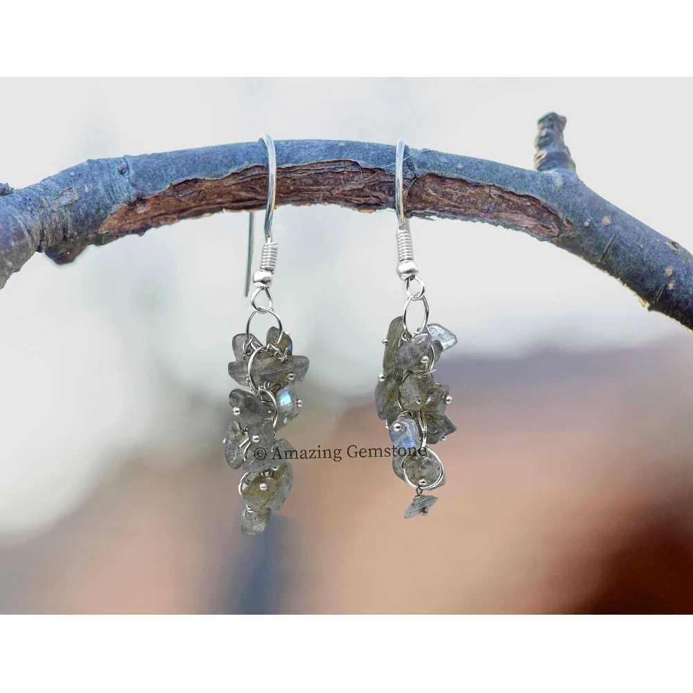 Labradorite Crystal Earrings (Silver)