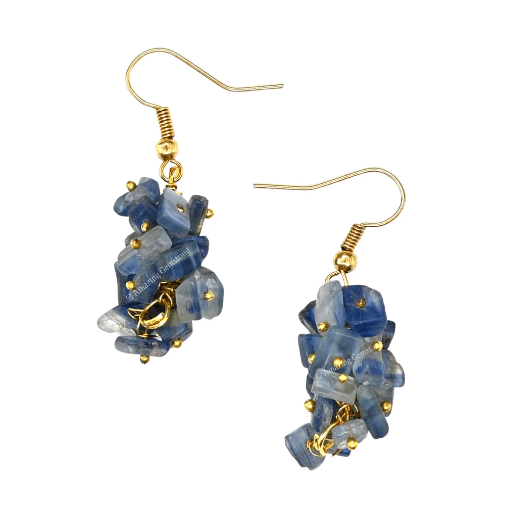 Kyanite Crystal Earrings (Gold)