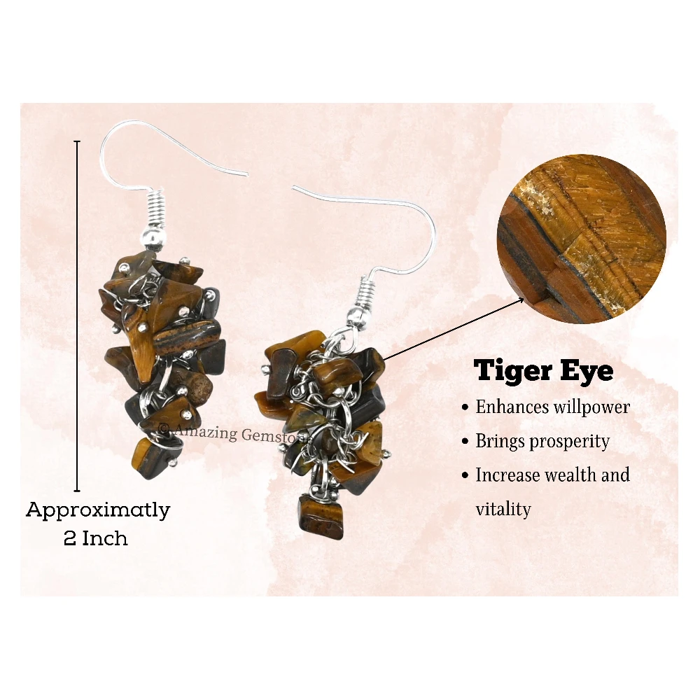 Tiger Eye Crystal Earrings (Silver)