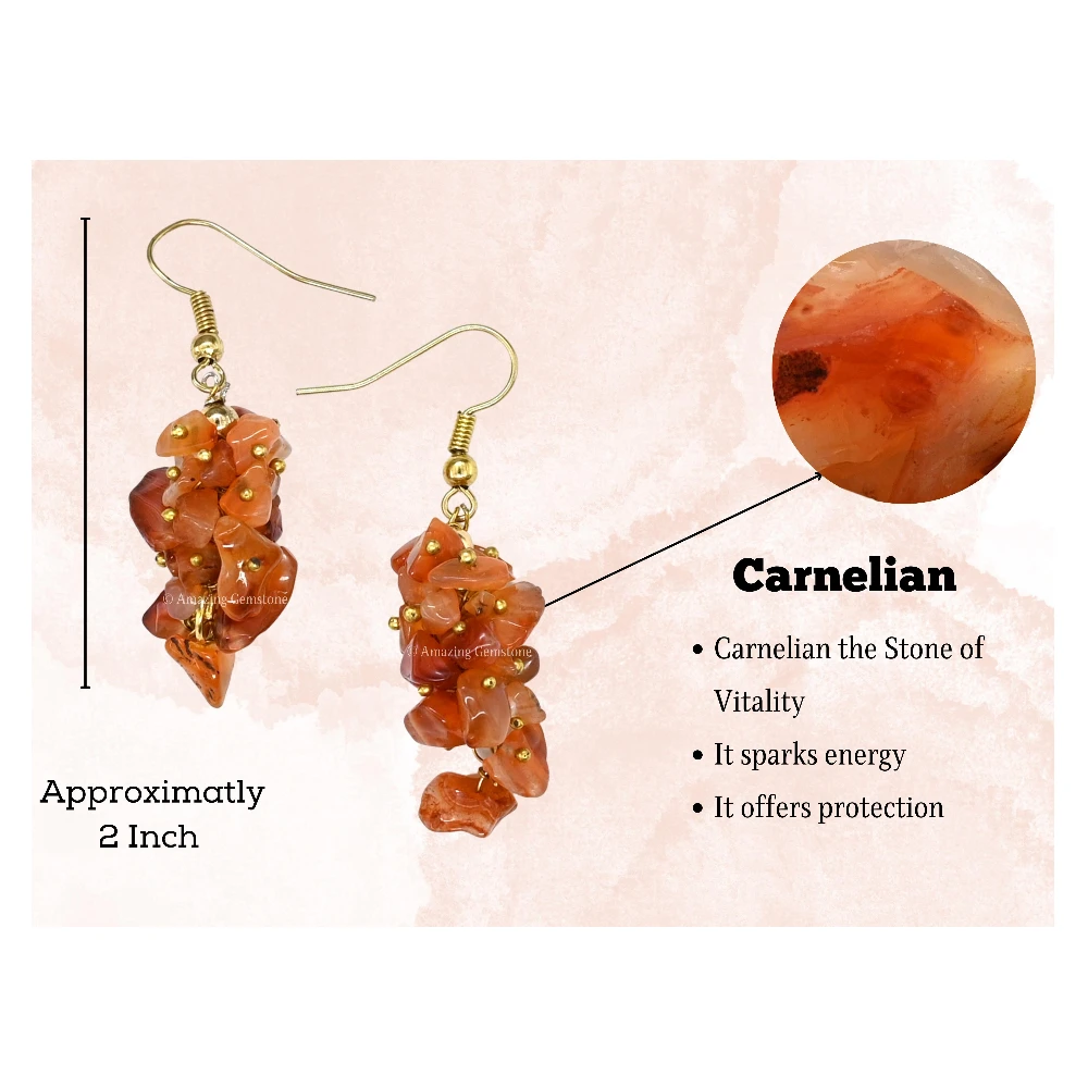 Carnelian Crystal Earrings (Gold)