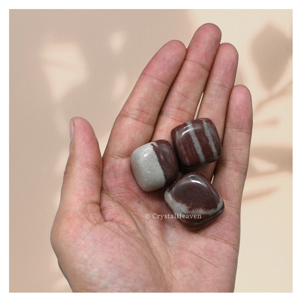 Tumbled Narmada Shiva Lingam Stones Premium Polished Tumbled Crystals